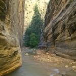 The Zion Narrows • <a style="font-size:0.8em;" href="http://www.flickr.com/photos/56452031@N00/2774868607/" target="_blank">View on Flickr</a>