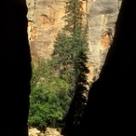 The Zion Narrows • <a style="font-size:0.8em;" href="http://www.flickr.com/photos/56452031@N00/2774869567/" target="_blank">View on Flickr</a>