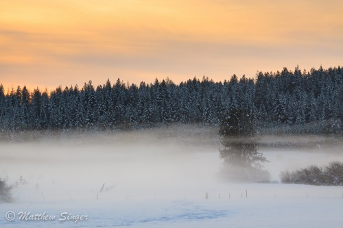 The mist on the snow had accumulated at the bottom of our neighbor's field.