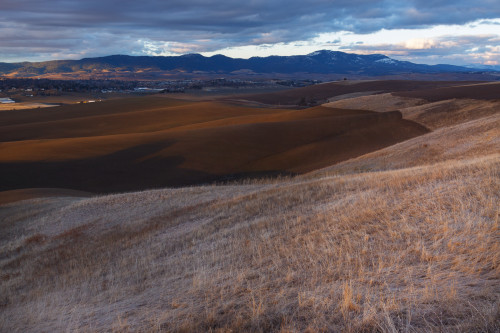 View of Moscow Mountain and the Idaho Palouse.