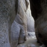 The Zion Narrows • <a style="font-size:0.8em;" href="http://www.flickr.com/photos/56452031@N00/2774871521/" target="_blank">View on Flickr</a>