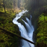 Sol Duc Falls • <a style="font-size:0.8em;" href="http://www.flickr.com/photos/56452031@N00/37121827550/" target="_blank">View on Flickr</a>