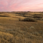 Prairie Sunset • <a style="font-size:0.8em;" href="http://www.flickr.com/photos/56452031@N00/50629133988/" target="_blank">View on Flickr</a>