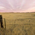 Prairie Sunset • <a style="font-size:0.8em;" href="http://www.flickr.com/photos/56452031@N00/50629134533/" target="_blank">View on Flickr</a>