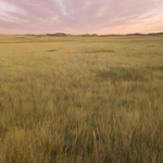 Prairie Sunset • <a style="font-size:0.8em;" href="http://www.flickr.com/photos/56452031@N00/50629135258/" target="_blank">View on Flickr</a>