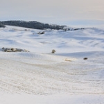Snow on the Palouse • <a style="font-size:0.8em;" href="http://www.flickr.com/photos/56452031@N00/8310321775/" target="_blank">View on Flickr</a>