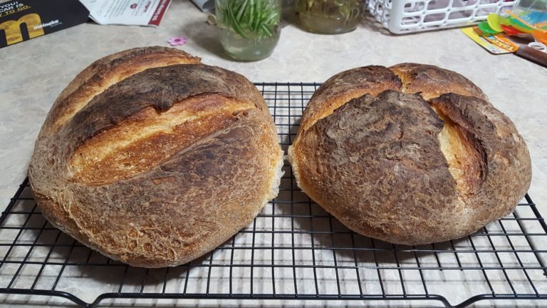 Adventures in Sourdough