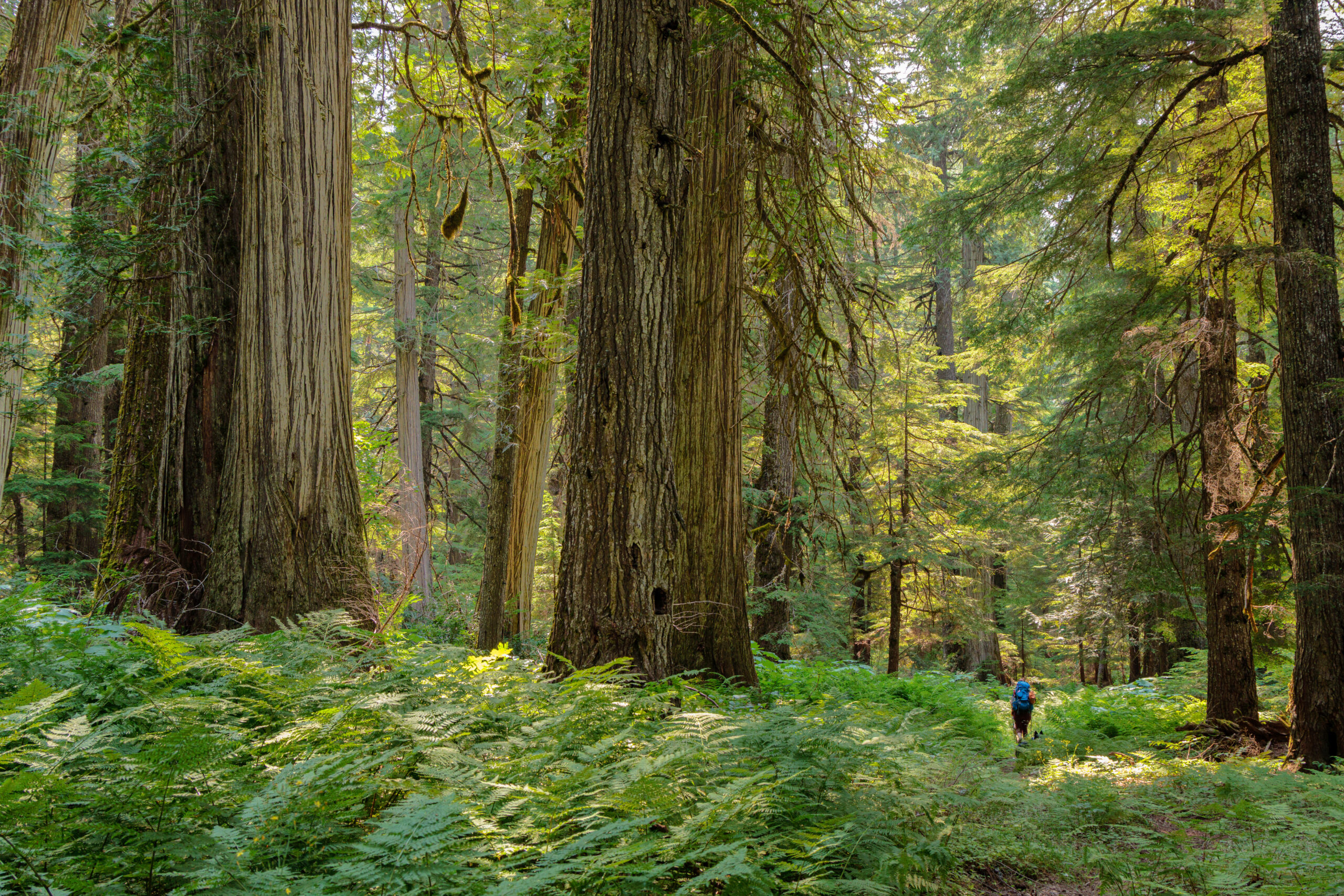 Backpacking … for real