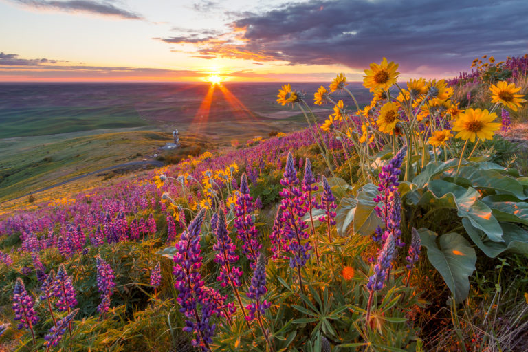 Steptoe Butte and the Palouse
